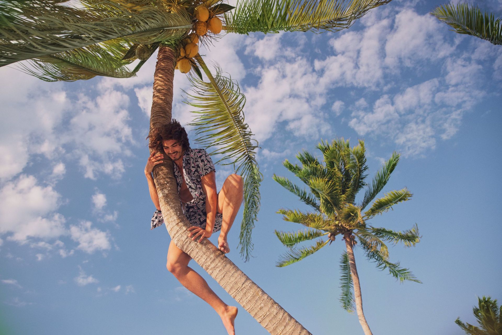 Bonobos – Summer