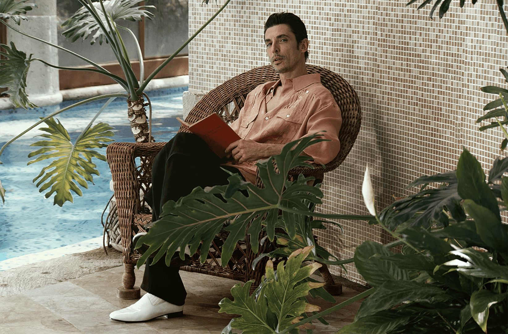 Zara x Willy Chavarria